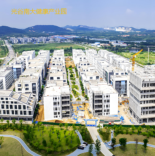 光谷南大健康产业园.jpg
