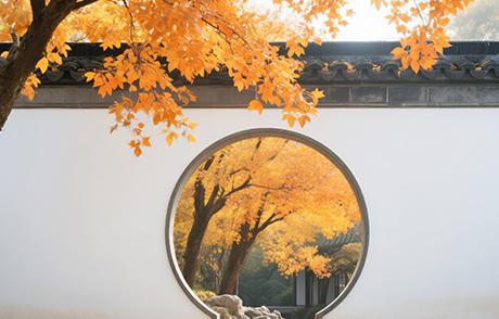 1764054023252547.png kkkk.png